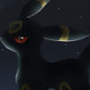 Meet your Posher, Lydia